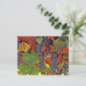 美しい秋ワインニヤードカラーポストカード ポストカード (スタンド正面)