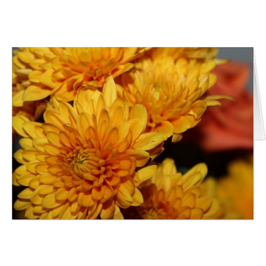 美しい秋花 (正面横)