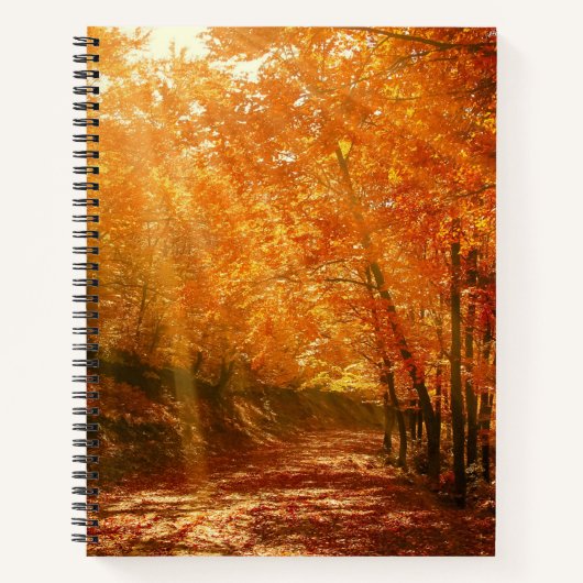 美しい秋 ノートブック (正面)