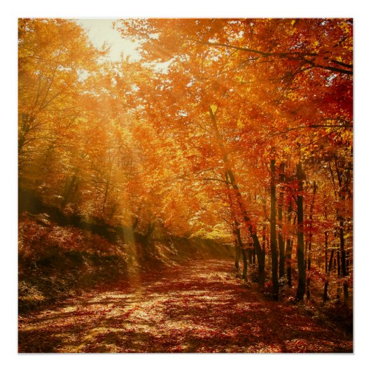 美しい秋 ポスター (正面)