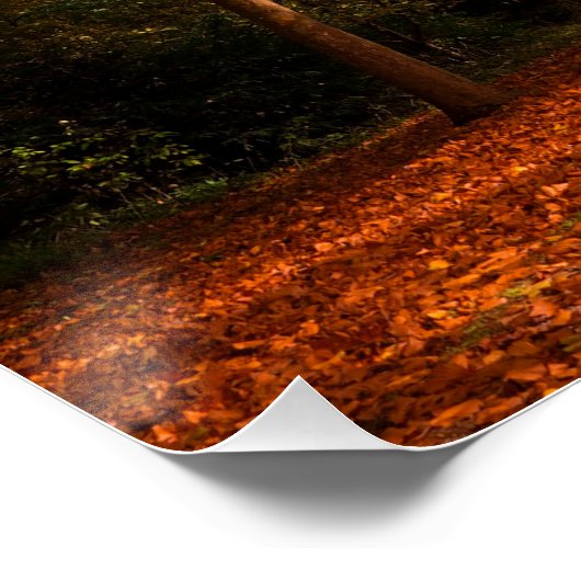 美しい秋 ポスター (コーナー)