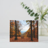 美しい秋 ポストカード (スタンド正面)