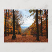 美しい秋 ポストカード (正面)