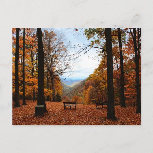 美しい秋 ポストカード (正面)