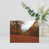 美しい秋 ポストカード (スタンド正面)