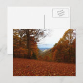 美しい秋 ポストカード (正面/裏面)