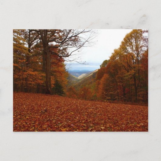 美しい秋 ポストカード (正面)