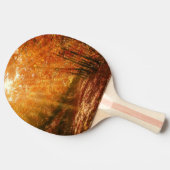 美しい秋 卓球ラケット (横)