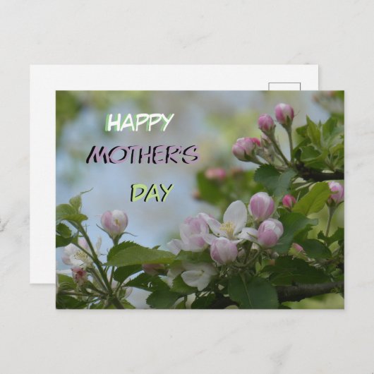 美しい穏やかな花母の日のはがき ポストカード (正面/裏面)
