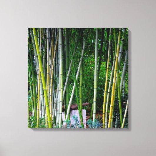 美しい竹林の緑の黄色と灰色 キャンバスプリント (正面)