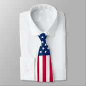 美しい米国旗-プライド米国 ネクタイ (タイ)