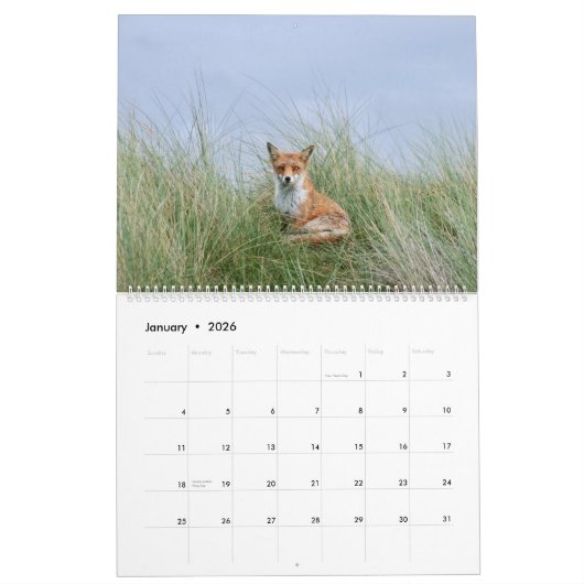 美しい精神のキツネ2021ウォールカレンダー カレンダー (1月 2026)