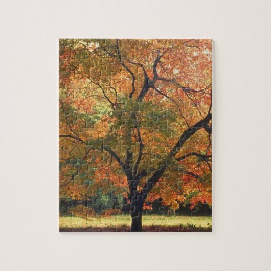 美しい紅葉の木 秋の季節の写真 ジグソーパズル (縦)
