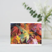 美しい紅葉プリント ポストカード (スタンド正面)
