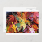 美しい紅葉プリント ポストカード (正面/裏面)