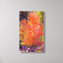 美しい紅葉2 キャンバスプリント