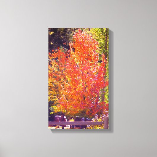美しい紅葉2 キャンバスプリント (正面)