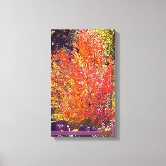 美しい紅葉2 キャンバスプリント (正面)