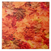美しい紅葉 タイル (正面)