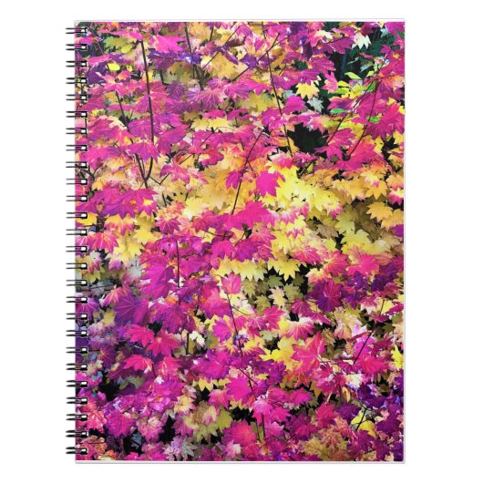 美しい紅葉 ノートブック (正面)