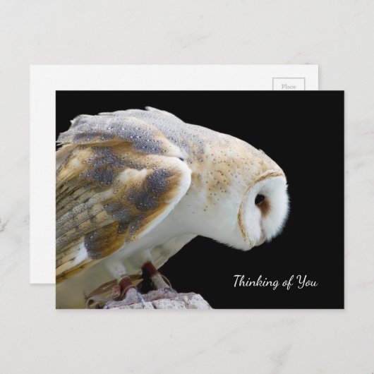 美しい納屋の考えフクロウの写真 ポストカード (正面/裏面)