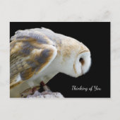 美しい納屋の考えフクロウの写真 ポストカード (正面)