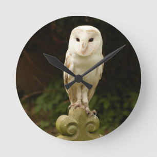 美しい納屋フクロウの壁時計 ラウンド壁時計