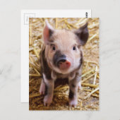 美しい納屋周囲の庭風景 ポストカード (正面/裏面)