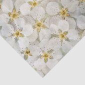 美しい素朴小さな白い花房 薄葉紙 (詳細)