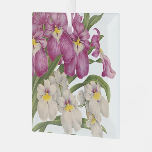 美しい紫と白のヴィンテージラン ガラスオーナメント (正面左)