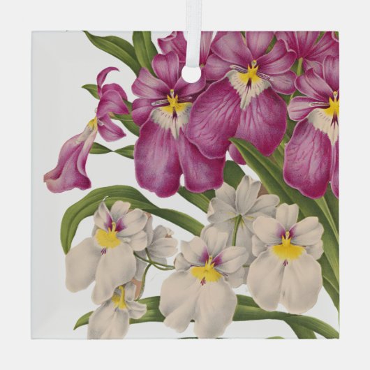 美しい紫と白のヴィンテージラン ガラスオーナメント (裏面)