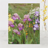 美しい紫のアイリス 花の写真 カード (黄色い花)