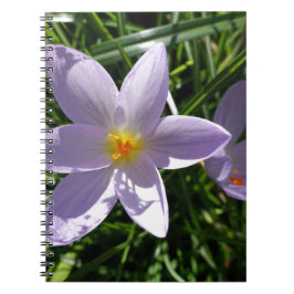 美しい紫の庭の花。美丽的紫色花 ノートブック