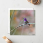 美しい紫の羽を持つハチドリ ノートカード (正面/裏面インサイチュ)