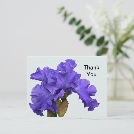美しい紫色のアイリス花の写真 - ありがとうございます ポストカード (スタンド正面)