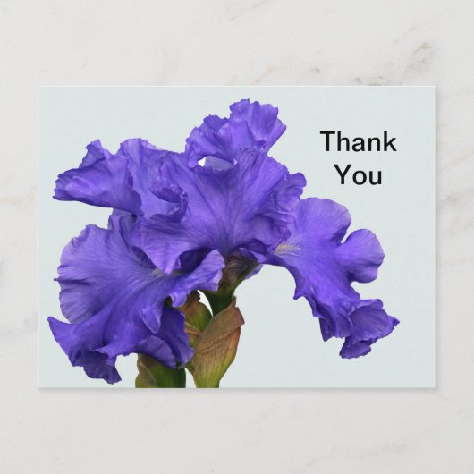 美しい紫色のアイリス花の写真 - ありがとうございます ポストカード (正面)