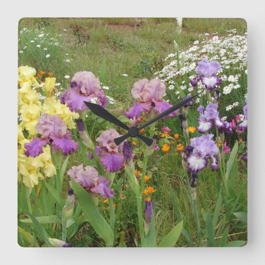 美しい紫色のアヤメの花の写真 スクエア壁時計 (正面)