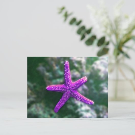 美しい紫色のヒトデが浜辺に ポストカード (スタンド正面)