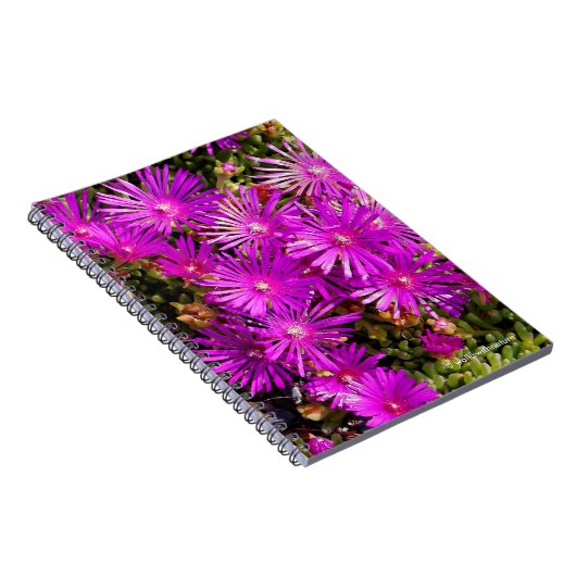 美しい紫色の氷生植物 ノートブック (右側)