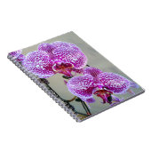 美しい紫色の白い蘭のクローズアップ写真 ノートブック (右側)
