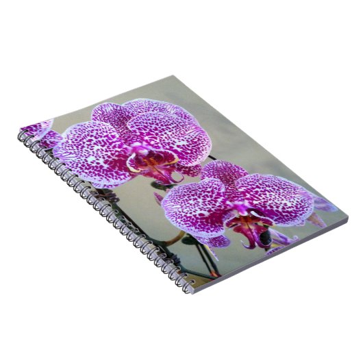 美しい紫色の白い蘭のクローズアップ写真 ノートブック (右側)