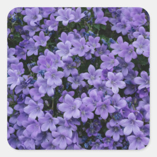 美しい紫色の花のステッカーセット スクエアシール