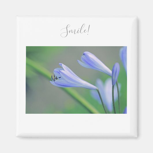 美しい紫色の花スマイルモチベーション磁石 マグネット (正面)