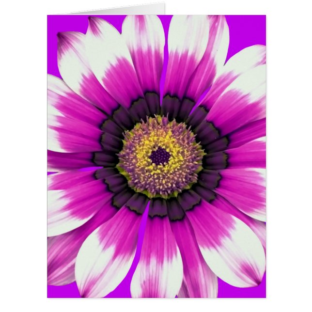 美しい紫色の花 (正面)