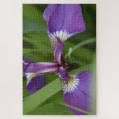 美しい紫色の虹彩花の写真 ジグソーパズル (縦)