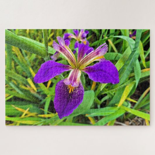 美しい紫色の虹彩花の開花 ジグソーパズル (横)