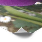 美しい紫色の虹彩花園ポスター ポスター (角)