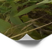 美しい紫色の虹彩花園ポスター ポスター (角)