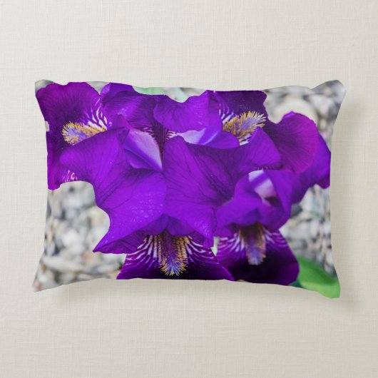 美しい紫色の虹彩 アクセントクッション (裏面)