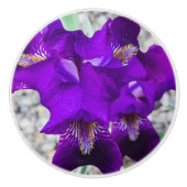 美しい紫色の虹彩 セラミックノブ (正面)